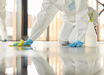 Floor Maintenance
