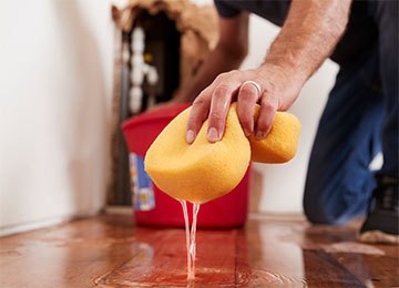 Hardwood Floors