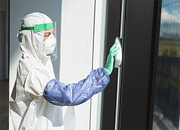 Window Cleaning